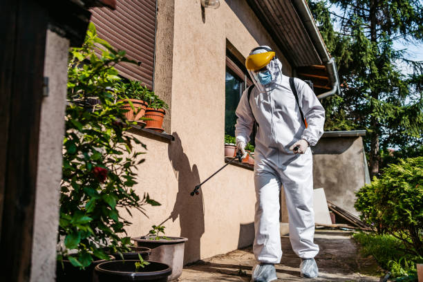 Pest Control Cost in Martha Lake, WA